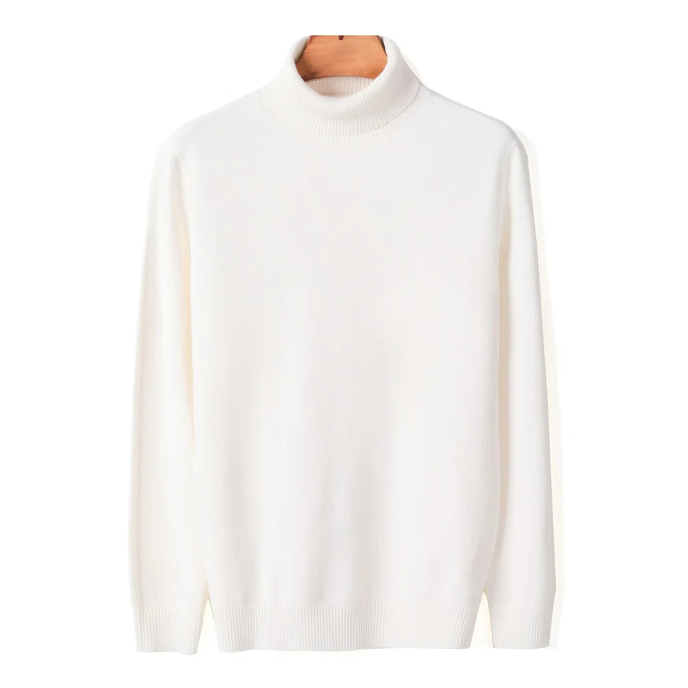 Ribbed Turtleneck Sweater Men