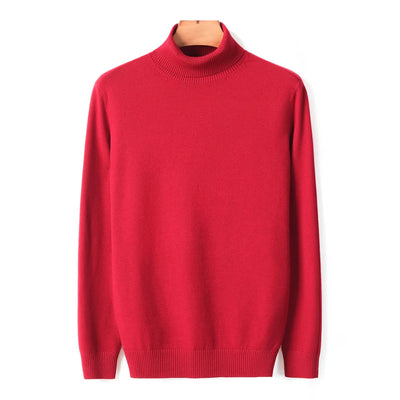 Ribbed Turtleneck Sweater Men