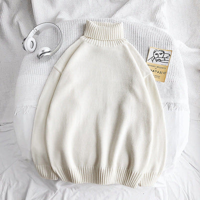 Knitted Winter Turtleneck Jumper Men